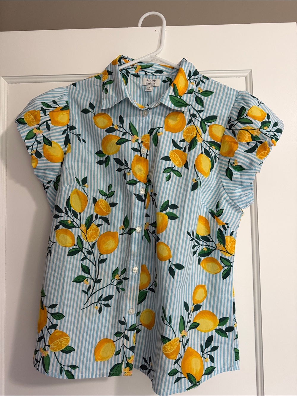 J. Crew Blue Stripe Lemon-Print Button Down Shirt